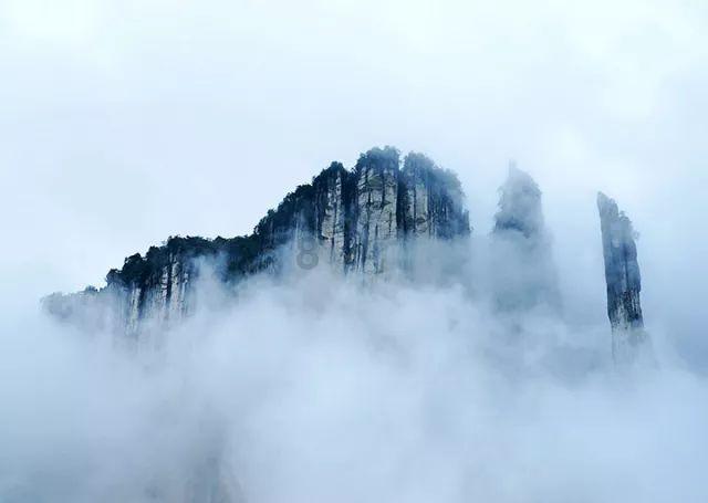 拯救铁笼中的小牛